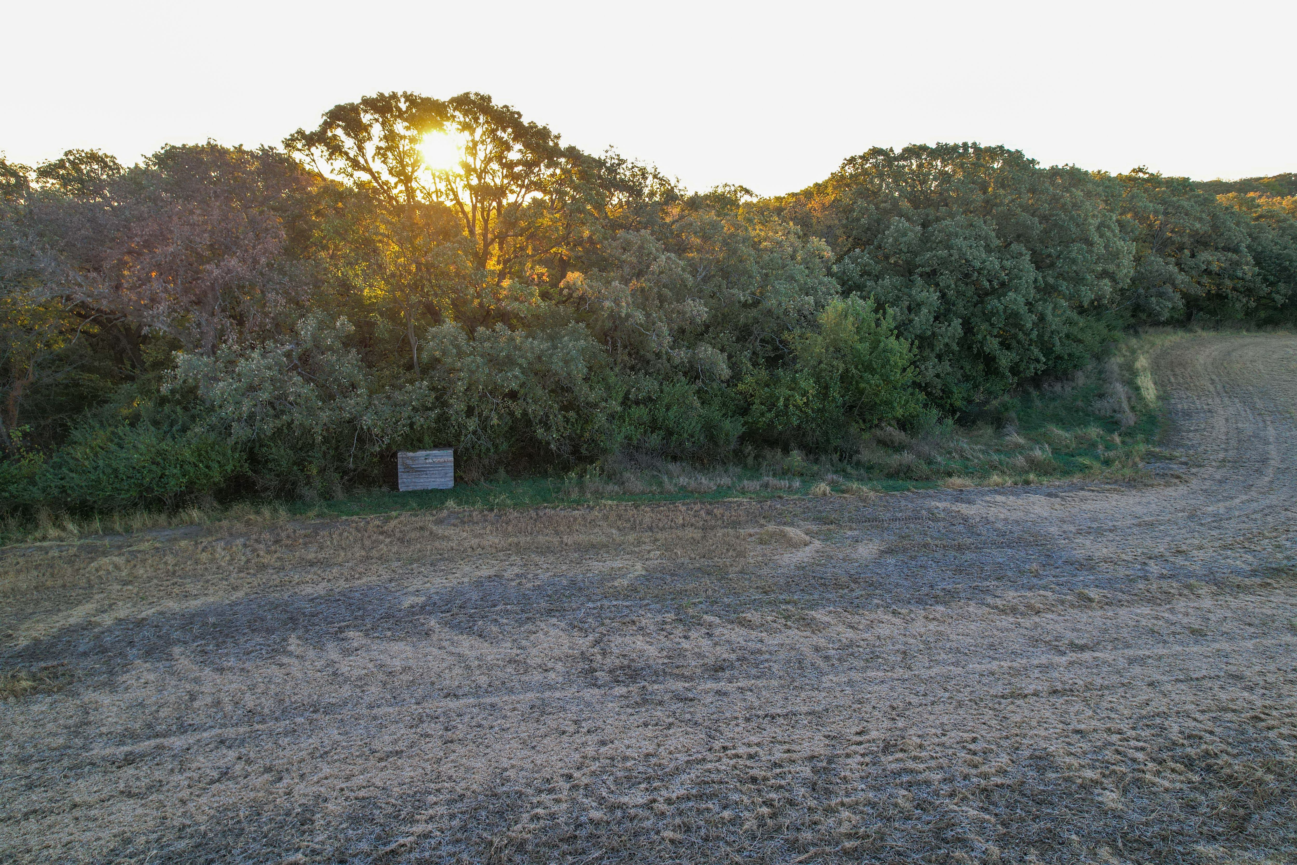 Listing Photo: Photo Oct 22 2025, 7 58 23 AM